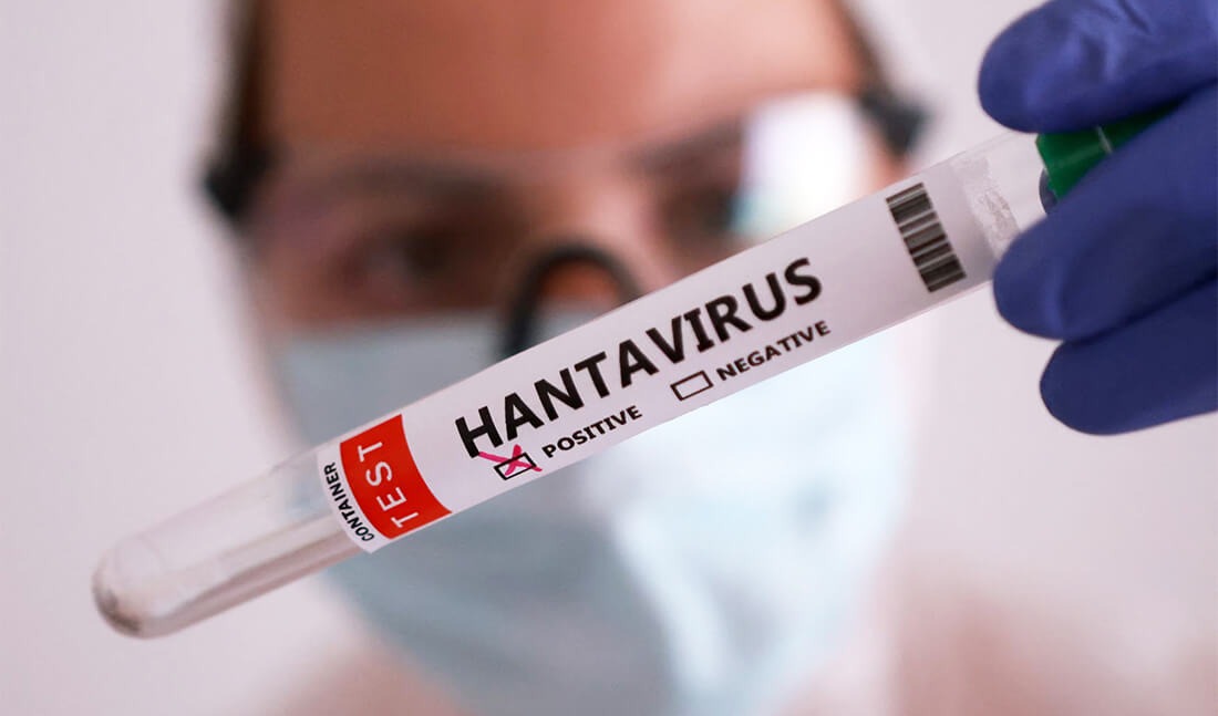 OMS confirma 11 casos de hantav&iacute;rus em cruzeiro MV Hondius