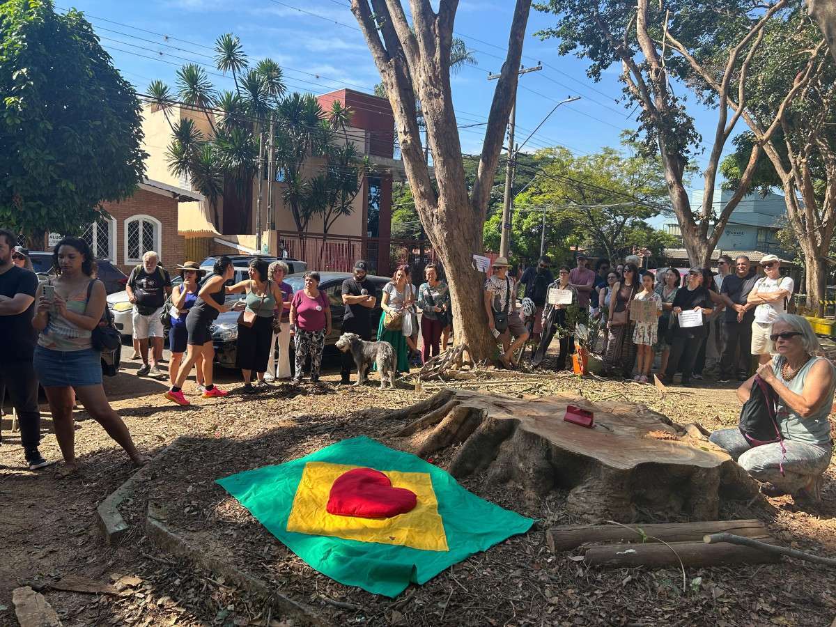 Com aval do MP, Prefeitura vai derrubar &aacute;rvore da Pra&ccedil;a do Coco nesta sexta sob contesta&ccedil;&atilde;o cient&iacute;fica