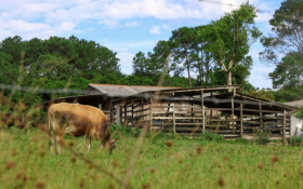 Crimes contra o agroneg&oacute;cio reduzem 9% em Santa Catarina