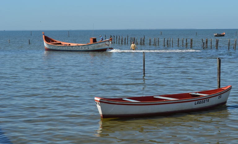 Incra oficializa assentamento na Lagoa dos Patos (RS)