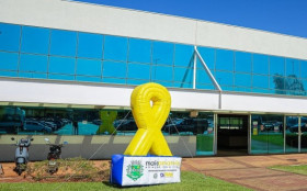 Maio Amarelo em Paul&iacute;nia: 'ver o outro salva vidas'