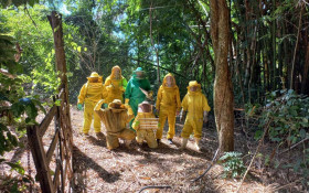 Cadeias produtivas de mel no interior recebem R$ 1,7 milh&atilde;o