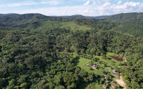 Paran&aacute; pode proteger neste ano &aacute;rea do tamanho de Londrina