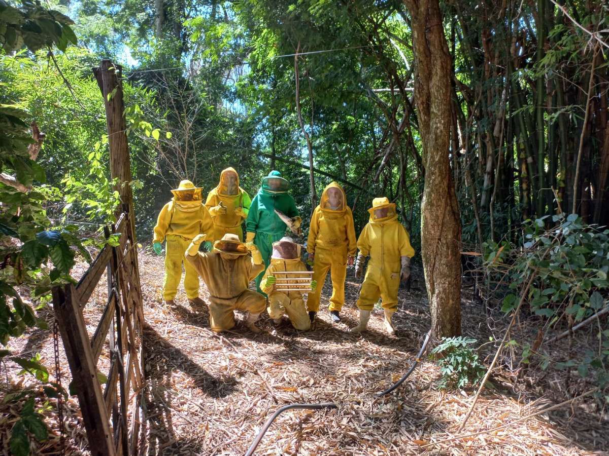 Cadeias produtivas de mel no interior recebem R$ 1,7 milh&atilde;o