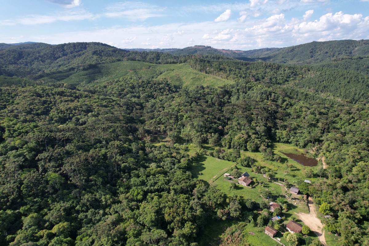 Paran&aacute; pode proteger neste ano &aacute;rea do tamanho de Londrina