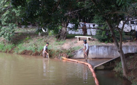 O DAEV inicia a retirada preventiva de plantas aqu&aacute;ticas para capta&ccedil;&atilde;o de &aacute;gua