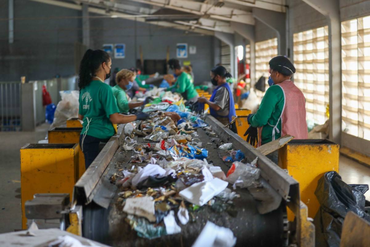 Coleta seletiva cresceu 70% no DF