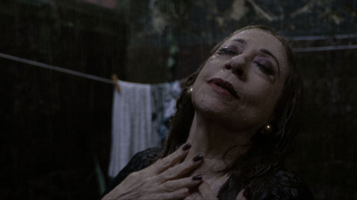 Pequenos filmes, grandes hist&oacute;rias: Curta! Festival 2026 amplia programa&ccedil;&atilde;o com mostras in&eacute;ditas e exibi&ccedil;&atilde;o gratuita