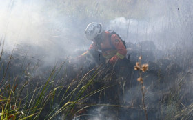 MS decreta emerg&ecirc;ncia ambiental para refor&ccedil;ar preven&ccedil;&atilde;o a inc&ecirc;ndios