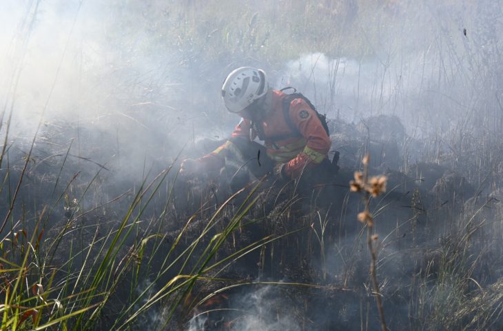 MS decreta emerg&ecirc;ncia ambiental para refor&ccedil;ar preven&ccedil;&atilde;o a inc&ecirc;ndios