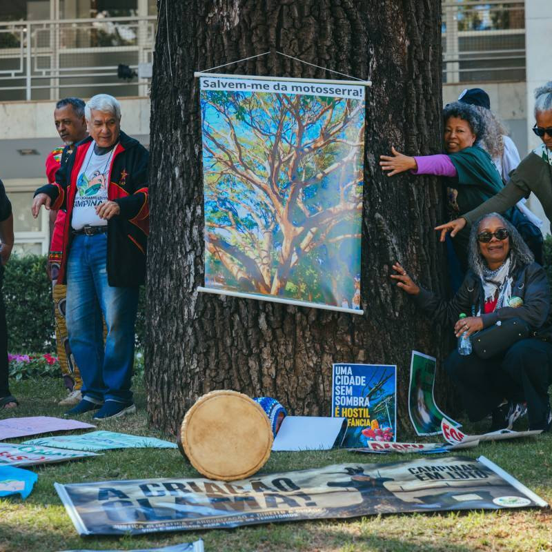 No Dia Mundial do Meio Ambiente, manifestantes protestam contra política ambiental de Campinas