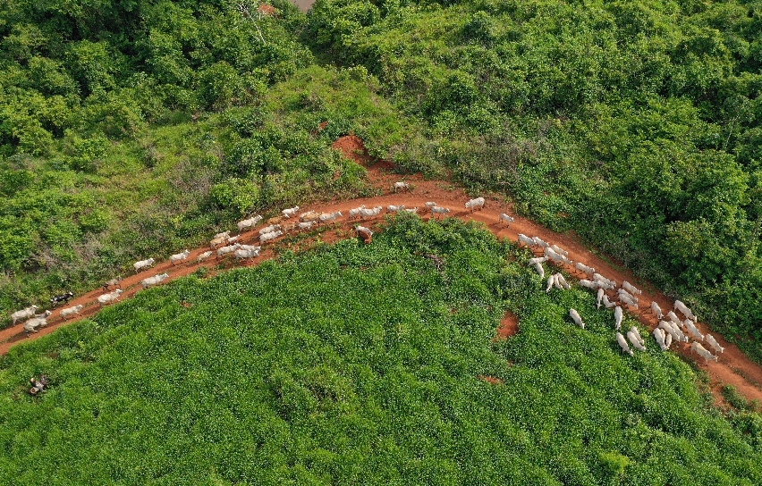 UE oficializa veto &agrave; carne brasileira em setembro