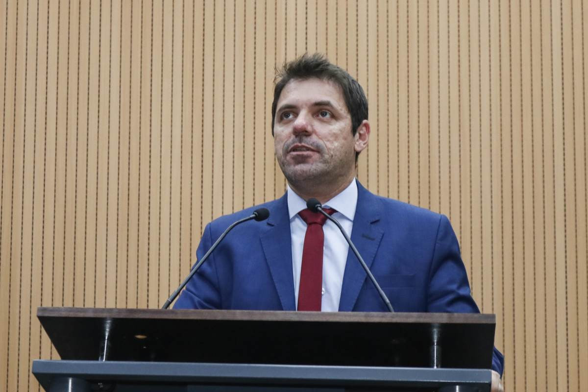 Projeto na C&acirc;mara de Campinas (SP) quer ampliar castra&ccedil;&atilde;o e conscientizar sobre c&acirc;ncer em pets
