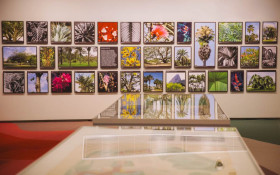 Museu Judaico de SP abre mostra sobre Burle Marx