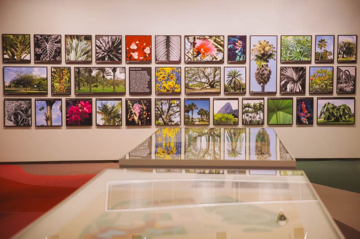 Museu Judaico de SP abre mostra sobre Burle Marx