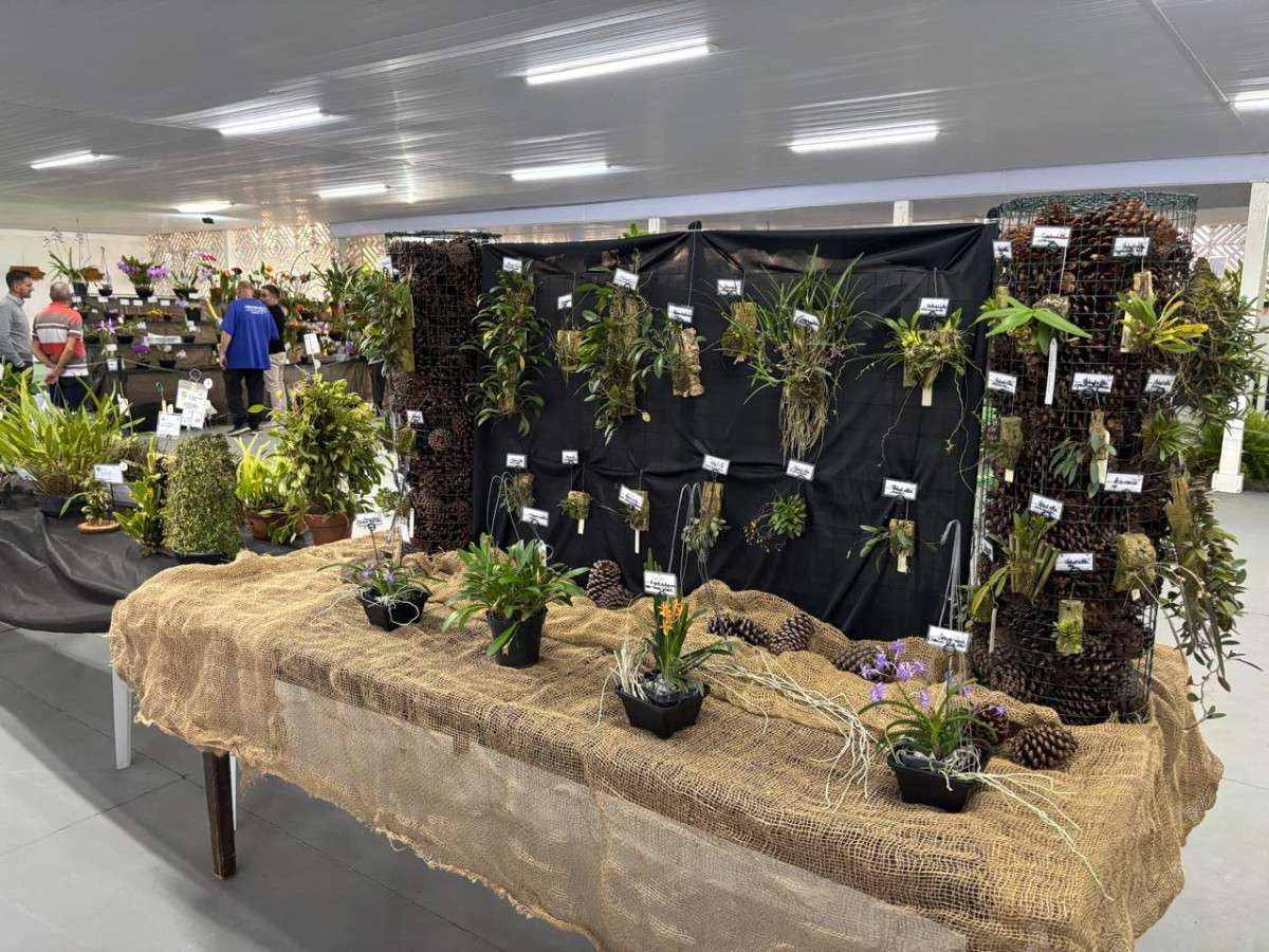 Valinhos sedia 18&ordf; Exposi&ccedil;&atilde;o Nacional de Orqu&iacute;deas neste final de semana