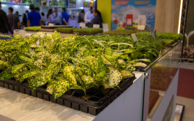 Feira Hortitec projeta R$ 750 miem neg&oacute;cios