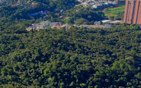Fazenda Remonta vira Patrim&ocirc;nio de Valinhos