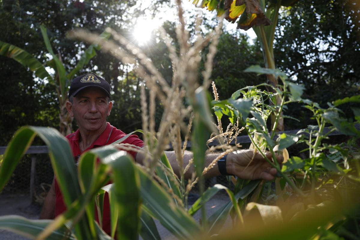 Agricultores familiares aumentam renda em 30%, diz estudo