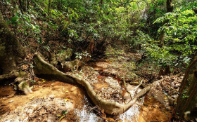 Valinhos debate a&ccedil;&otilde;es de preven&ccedil;&atilde;o de queimadas na Serra dos Cocais