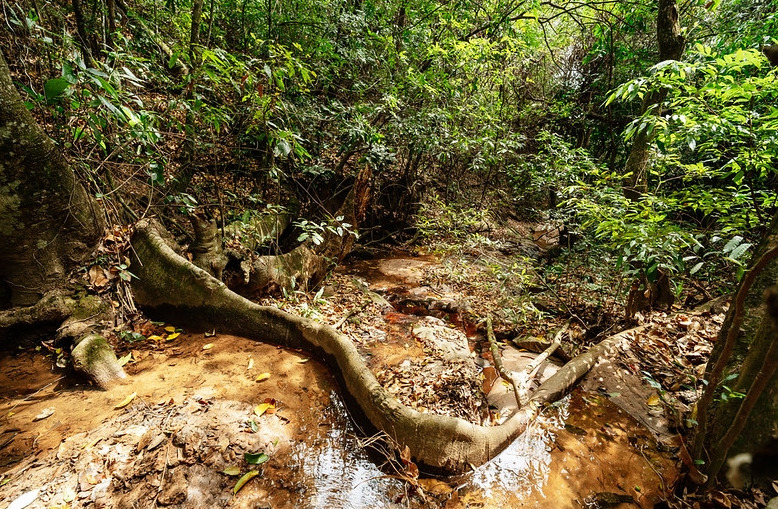 Valinhos debate a&ccedil;&otilde;es de preven&ccedil;&atilde;o de queimadas na Serra dos Cocais