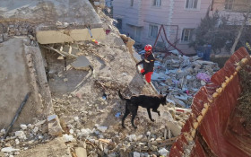 Venezuela registra 188 mortos e 1.500 desaparecidos em terremotos