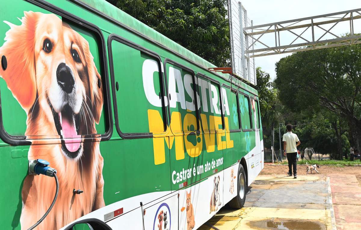 Campinas abre 1,5 mil vagas para castra&ccedil;&atilde;o e microchipagem de c&atilde;es e gatos na Vila Boa Vista