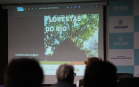 Programa Florestas do Amanh&atilde; inicia nova etapa