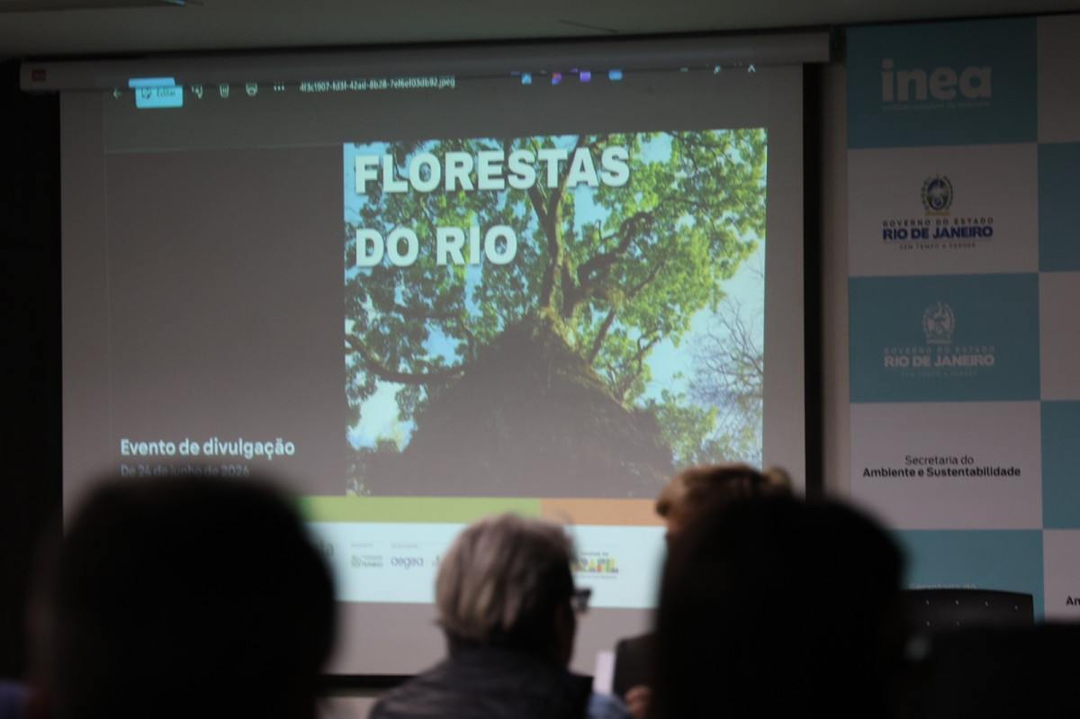 Programa Florestas do Amanh&atilde; inicia nova etapa