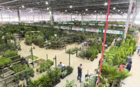 CORREIO grande campinas | Holambra recebe feira e congresso de paisagismo em outubro