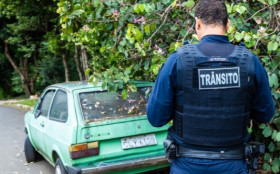 Cresce a remo&ccedil;&atilde;o de ve&iacute;culos abandonados em Paul&iacute;nia