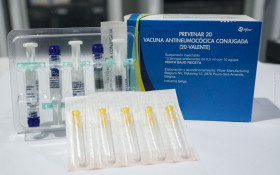 Pneumo 20 est&aacute; dispon&iacute;vel no SUS a crian&ccedil;as de at&eacute; 5 anos