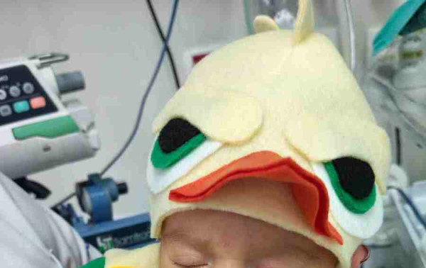 Hospital promove a&ccedil;&otilde;es de humaniza&ccedil;&atilde;o para beb&ecirc;s na UTI