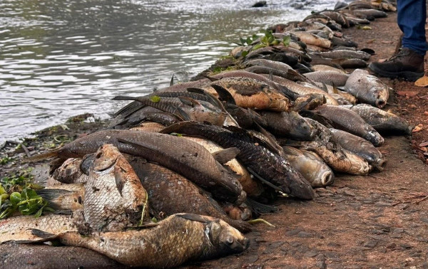 Usina rejeita acordo sobre mortandade no Rio Piracicaba