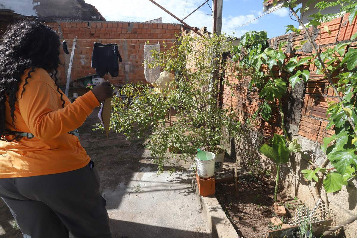 Alerta dengue: 35 bairros de Campinas est&atilde;o com maior risco de transmiss&atilde;o da doen&ccedil;a
