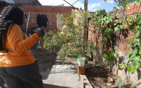 Alerta dengue: 35 bairros de Campinas est&atilde;o com maior risco de transmiss&atilde;o da doen&ccedil;a
