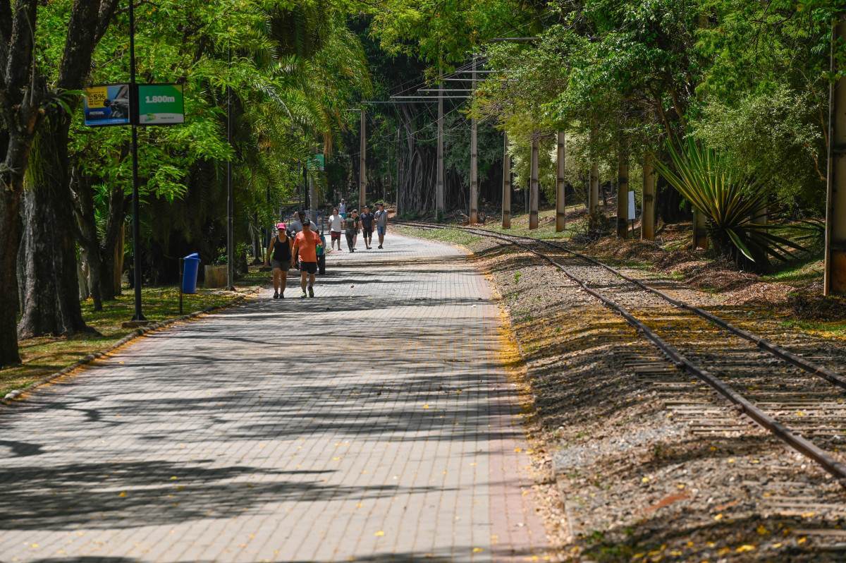 Campinas divulga funcionamento dos servi&ccedil;os no feriado de 9 de julho