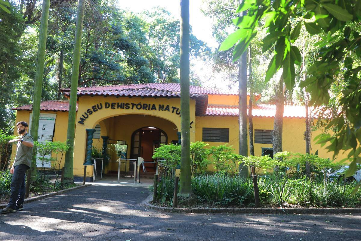 Museu de Hist&oacute;ria Natural de Campinas ter&aacute; entrada gratuita neste domingo