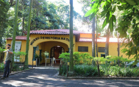 Museu de Hist&oacute;ria Natural de Campinas ter&aacute; entrada gratuita neste domingo