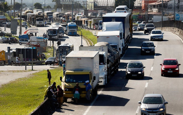 Jabuti bolsonarista pode ressuscitar