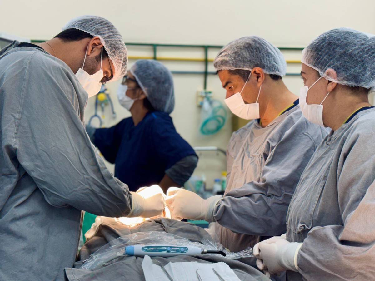 CEO garante atendimento odontol&oacute;gico especializado