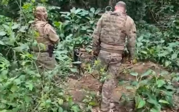 Cabe&ccedil;a humana &eacute; encontrada em poss&iacute;vel cemit&eacute;rio clandestino no Rio