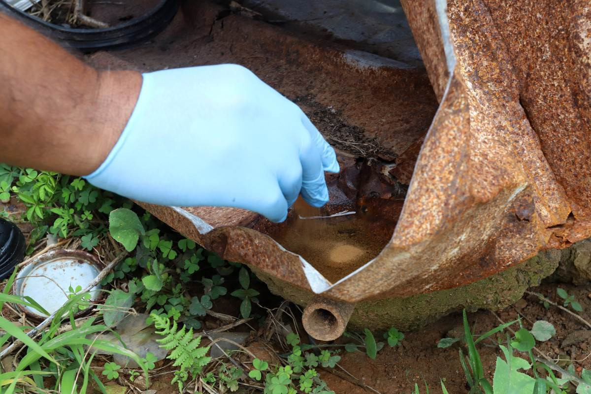 Novo alerta de dengue em Campinas lista 27 bairros de alto risco de transmiss&atilde;o