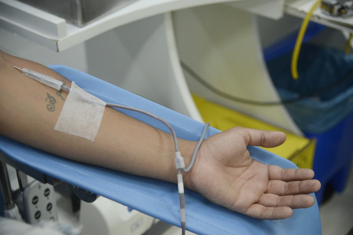 Sa&uacute;de atualiza procedimentos hemoter&aacute;picos