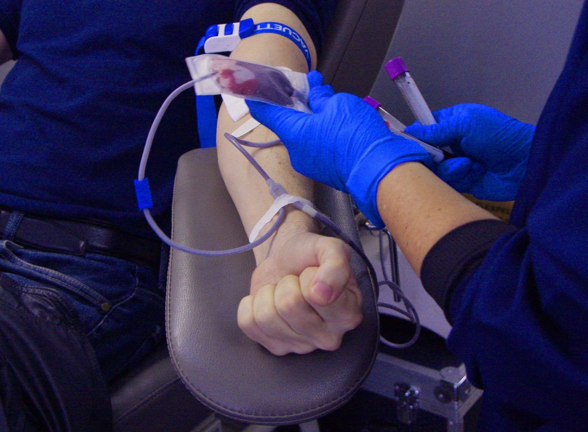 C&acirc;mara incentiva doa&ccedil;&atilde;o de sangue