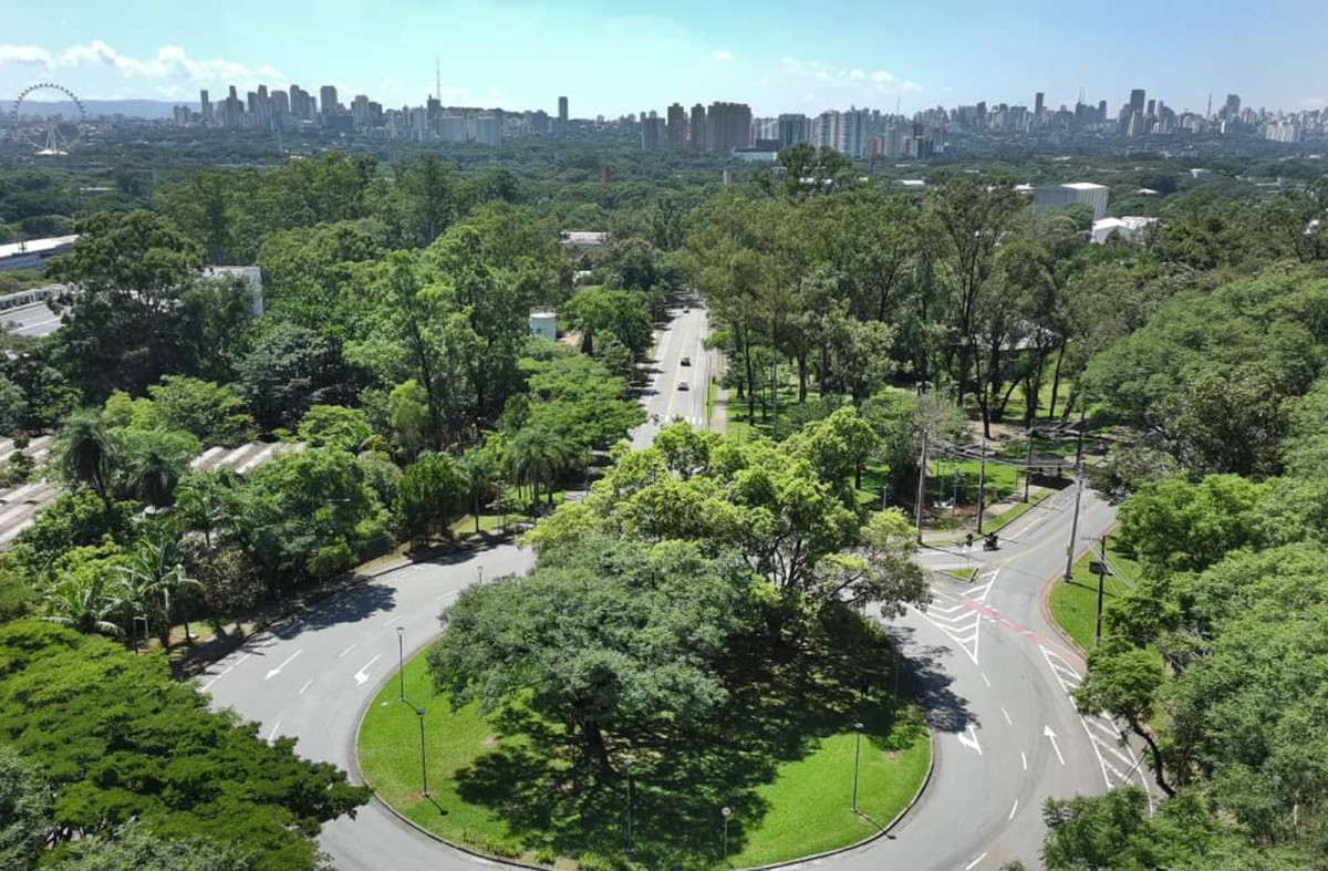 S&atilde;o Paulo se aproxima de 500 mil &aacute;rvores plantadas
