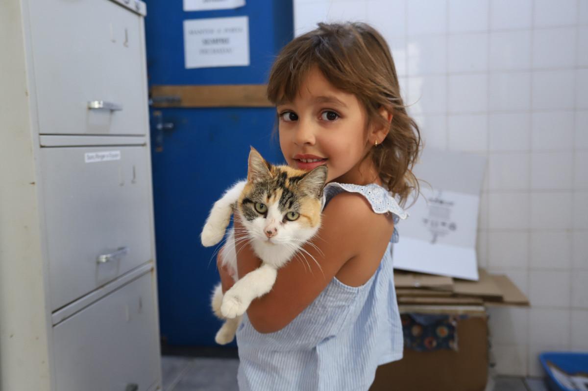 Sete animais ganham novos lares na primeira edi&ccedil;&atilde;o do DPBEA de Portas Abertas