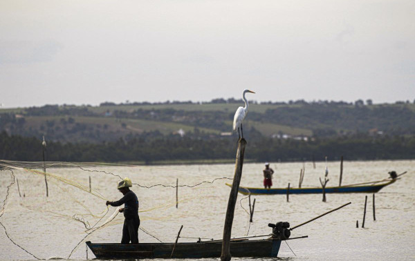 Conhe&ccedil;a os pescados brasileiros que escaparam do tarifa&ccedil;o 