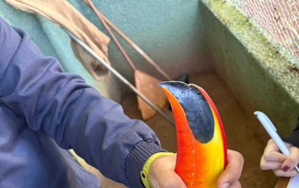 Aves do Parque Ecol&oacute;gico de Americana recebem tratamento "vip" de cuidadores