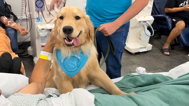 C&atilde;es terapeutas visitam hospital em Americana